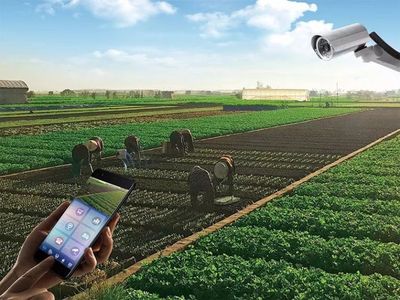 華安迪夢溫泉康養小鎮 融合“吃住玩游樂購”與溫泉技術研發的理想目的地